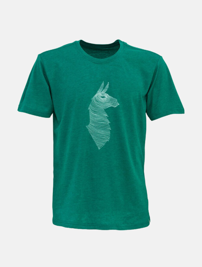 Cotopaxi Llama Organic T-Shirt Verde